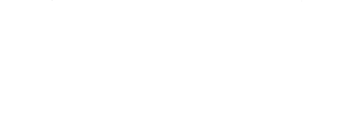Restaurant Le Parisien - Toulouse